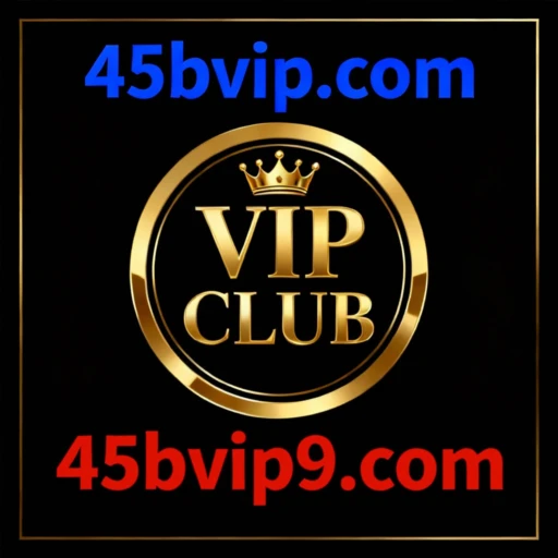45bvip.com logo